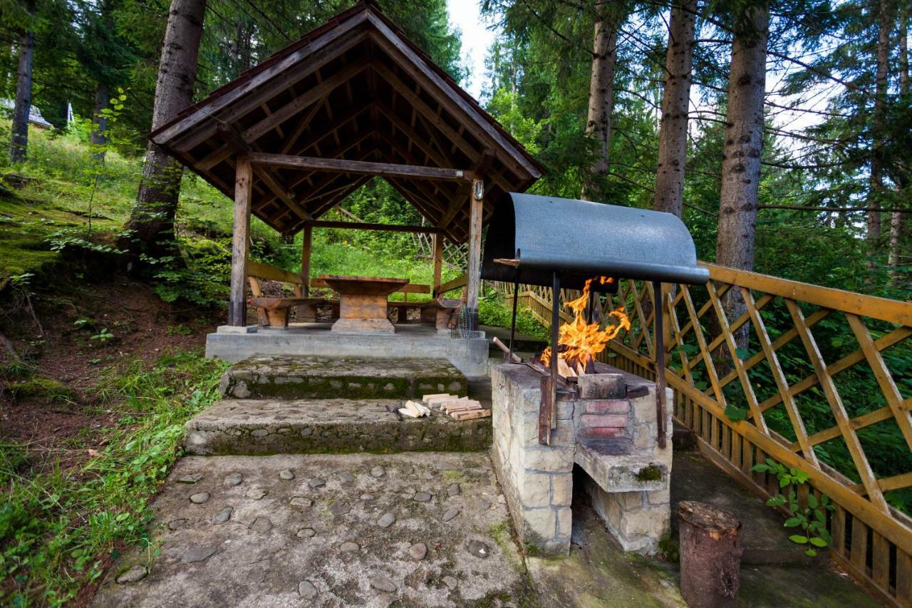 Альпина Hotel Yaremche Exterior photo