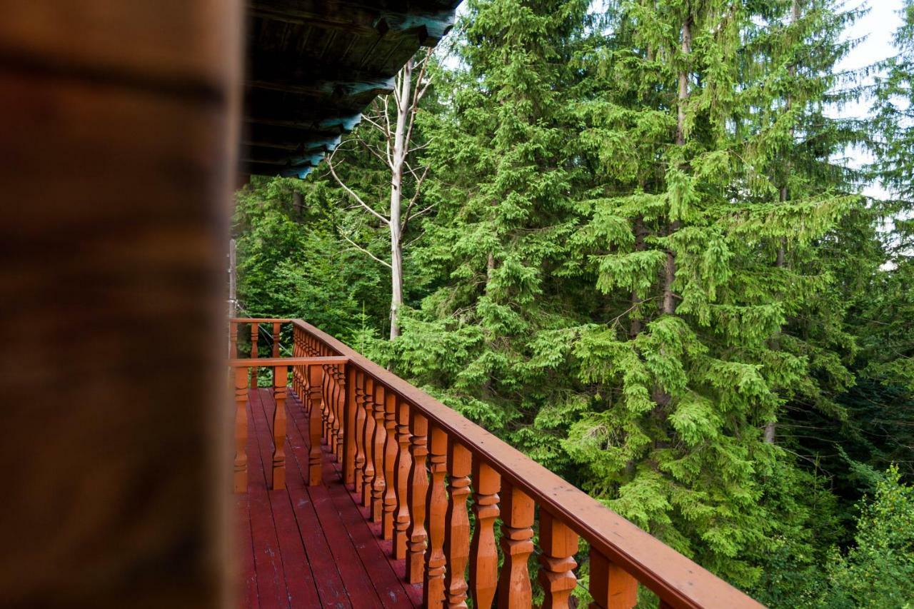 Альпина Hotel Yaremche Exterior photo